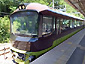 JR東日本 485系700番台「リゾートやまどり」